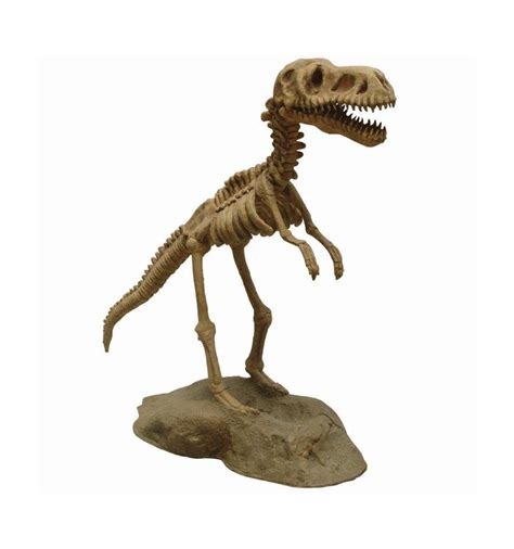 FOSIL DINOSAURIOS MAQUETA ESQUELETOS DE DINOSAURIOS MAQUETA HUESOS DE