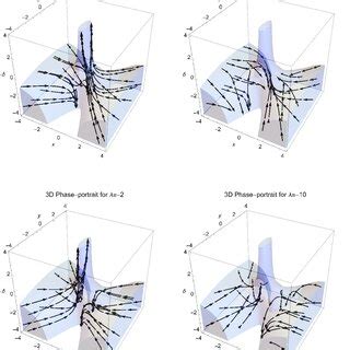 Phase Space Portraits Of The Dynamical System On The