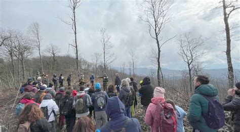 Stop Al Taglio Ceduo Nei Boschi Dei Castelli Romani Parte Il Piano