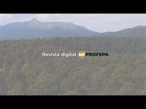 Conoce La Revista Digital Mi Profepa Procuraduria Federal De