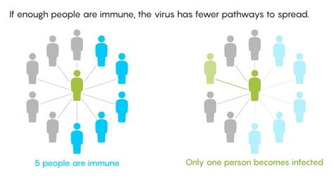 Infographic Covid Herd Immunity Threshold Likely Varies From Region