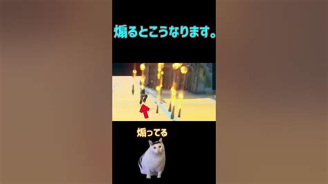 煽るとこうなります。 フォートナイト 猫ミーム Youtube