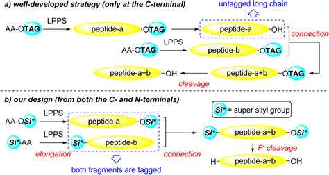 Super Silyl Based Stable Protecting Groups For Both The C And N