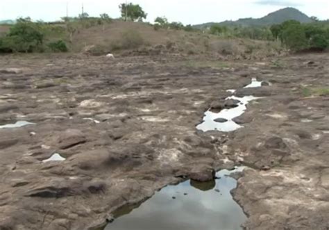 Estiagem deixa 134 cidades na Bahia em situação de emergência