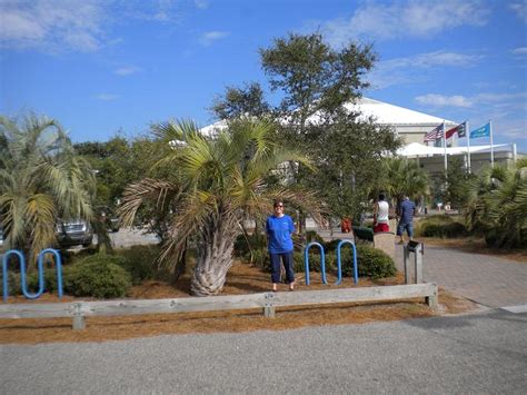 The Latest Happenings: Kure Beach Aquarium pics