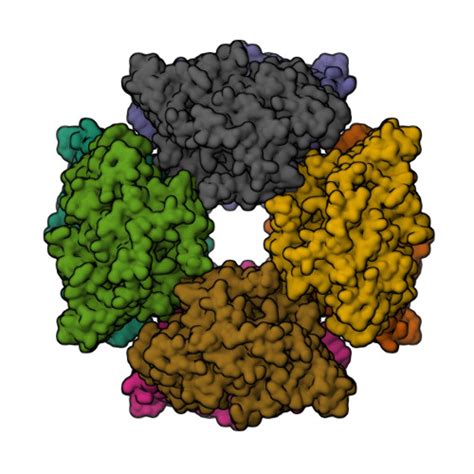 Rcsb Pdb Jpw Crystal Structure Of Single Chain L Glutamate Oxidase