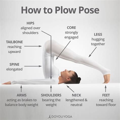 Halasana 101 What Are You Favorite Cues For Plow Pose Plow Pose Yoga