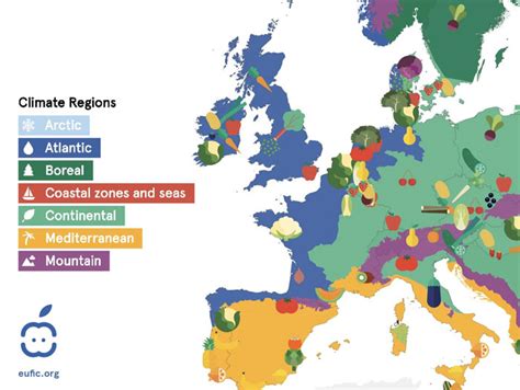 Eating Seasonal and Local: EUFIC Launches 1st Ever Europe-Wide ...