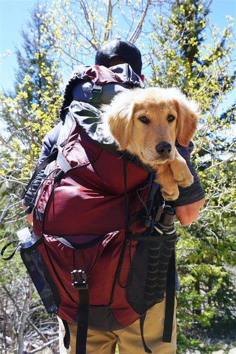 Dog Carrier Front Backpack 25 Lbs Iucn Water