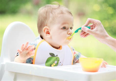 C Mo Saber Si Tu Beb Es Al Rgico A Alg N Alimento Estilo De Vida