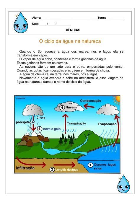 O Ciclo Da Gua Na Natureza Coruja Pedag Gica Ciclo Da Gua