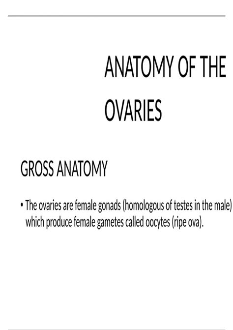 Summary ANATOMY OF THE OVARY - Human Anatomy - Stuvia US