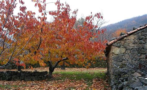 Cinco planes para dar la bienvenida al otoño en Extremadura Hoy