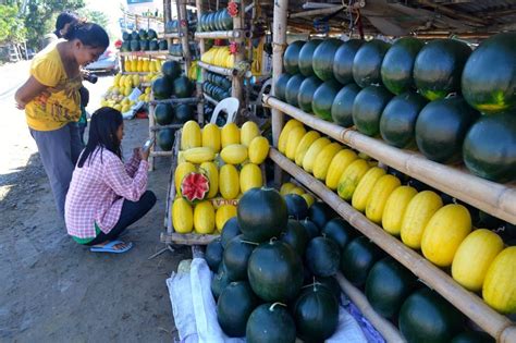 Pangasinan Town To Hold Pakwan Festival The Manila Times