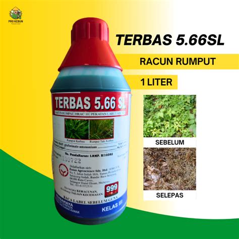 Terbas 5 66SL Racun Rumput Jenis Sentuh Contact Herbicide Racun