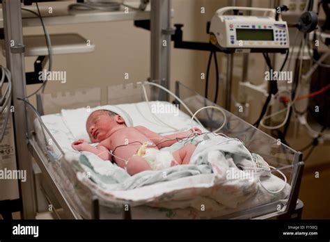 Newborn Baby Laying In Bassinet In Hospital Stock Photo Alamy