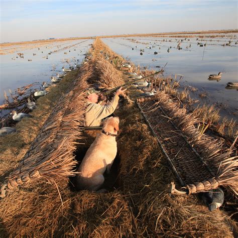 Pit Duck Blinds