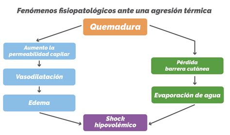 Unidad didáctica 3 11 Proceso patológico en el adulto Afecciones