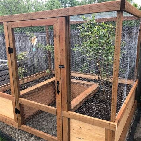 Ryobi Nation Enclosed Raised Garden Bed Raised Garden Beds Diy