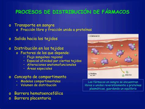 Farmacocinetica Absorcion Distribucion Metabolismo Y Compress Pdf