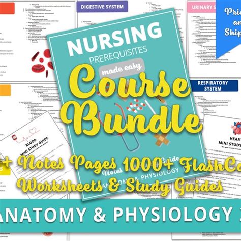 Anatomy Notes Bundle Anatomy And Physiology 2 Digital Etsy