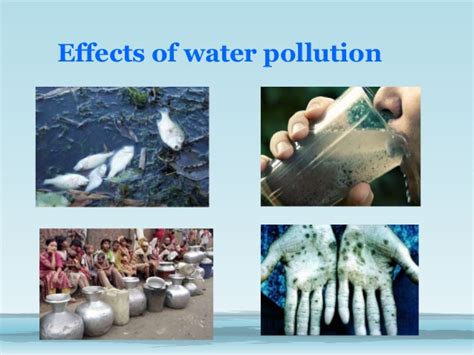 Effects of Water Contamination