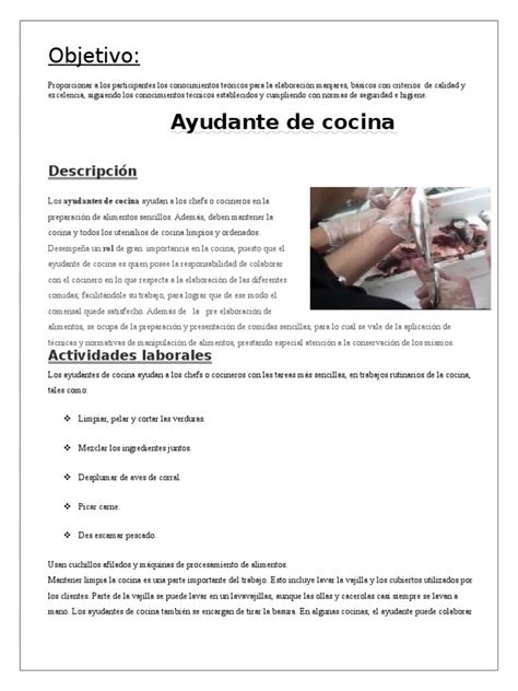 Cu L Es La Diferencia Entre Auxiliar De Cocina Y Ayudante De Cocina