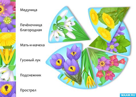 Весенние цветы в картинках для детей — скачать и распечатать Растения