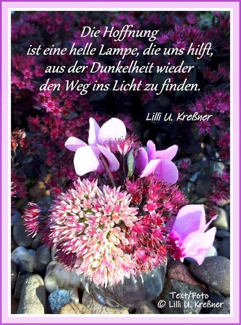 Pin By Britta Hoberg On Ideen Rund Ums Haus Lillies Dalai Lama Plants