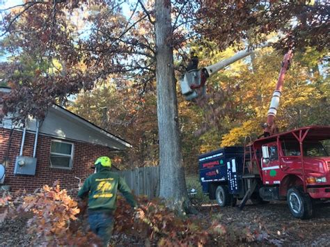 Tree Removal Service Affordable Tree Care of Asheville NC Fletcher ...