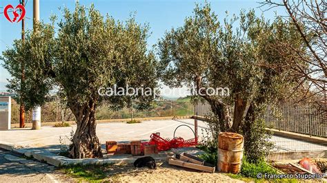 Commicelle Di Montalto Uffugo Calabria Cosa Vedere E Fare