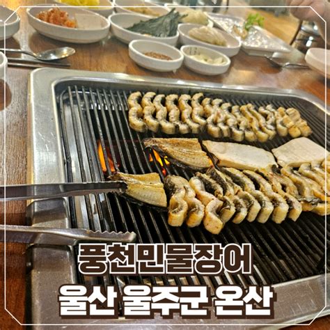 울산 장어 맛집 맛있는 민물장어 합리적인 가격 풍천민물장어 네이버 블로그