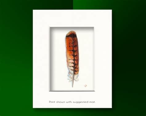 Red Tailed Hawk Art Watercolor Hawk Feather Redtail Hawk Feather Red