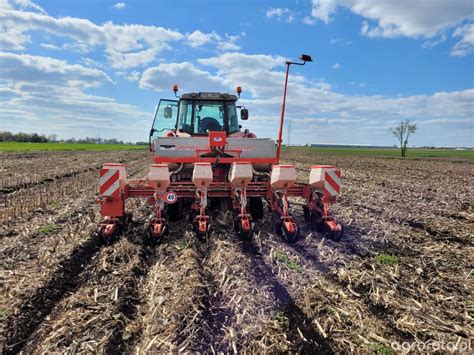 Kukurydza 2023 Kukurydza Agrofoto Pl Forum Rolnicze I Galeria Rolnicza