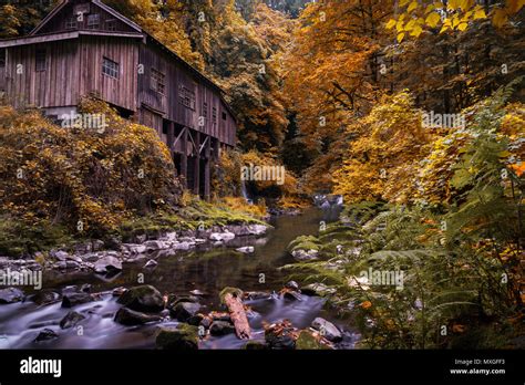 Woodland washington state hi-res stock photography and images - Alamy