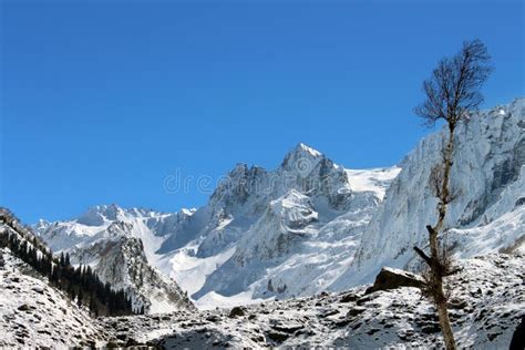 Snowy Mountain in Kashmir in India. Stock Image - Image of holidays ...