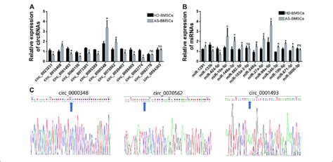 Qrt Pcr Validation Of De Circrnas And Mirnas A The Relative