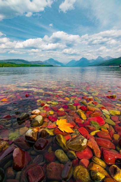 Lake Mcdonald Rocks Stock Photos, Pictures & Royalty-Free Images - iStock