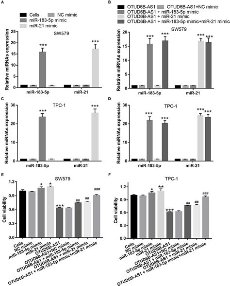 Frontiers Otud B As Inhibits Viability Migration And Invasion Of