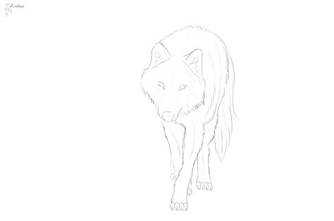 Free Wolf Lineart 3 Png Download By Ecritian On Deviantart