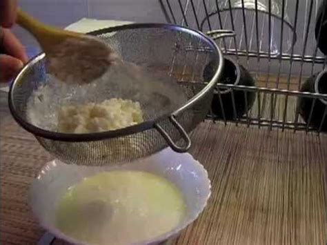 Молочный тибетский гриб - YouTube