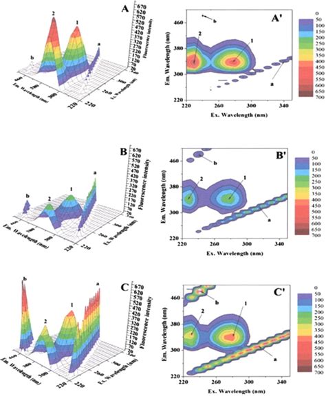 Three Dimensional Fluorescence Spectra And Corresponding Contour Maps