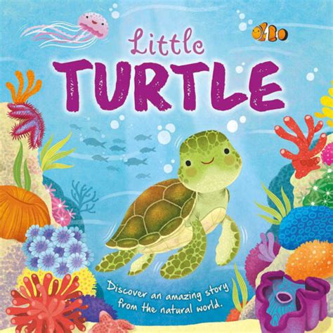 Little Turtle by Wednesday Jones (Paperback) | Scholastic Book Clubs