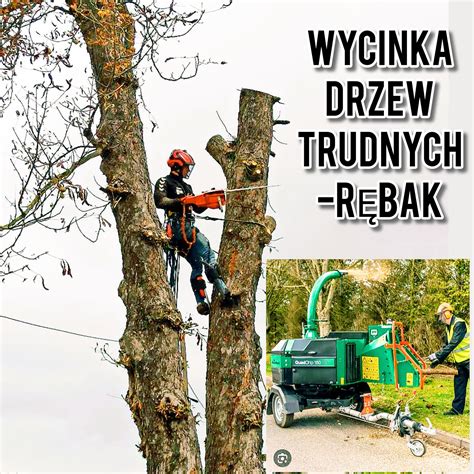 Wycinka Drzew Przycinka Prace Na Wysoko Ci Arborysta R Bak