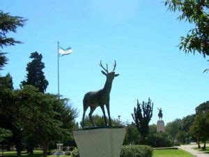 Venado Tuerto A qué se debe este singular nombre Billiken