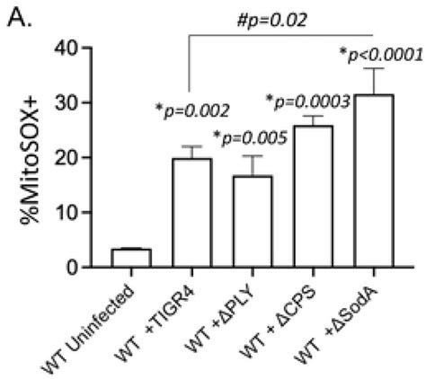 Mitosox Red Fluorescent Dye Thermo Fisher Bioz