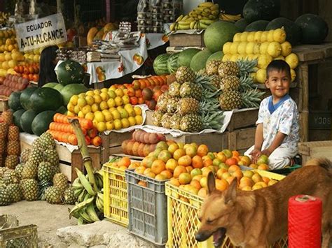 Frutas De La Costa Sierra Y Oriente Del Ecuador Ecu