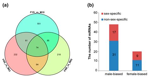 Ijms Free Full Text Identification Of Sex Differentiation Related Micrornas In Spinach