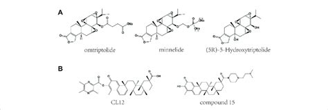 Chemical Structures Of Derivatives Of Triptolide And Celastrol A