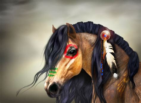 Pin By Ileana R On Horses Native American Horses Indian Horses